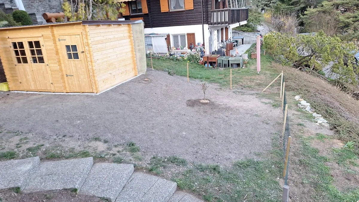 Premier arbre fruitier planté près du cabanon